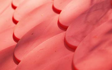 Hyndhope plastic roof costs